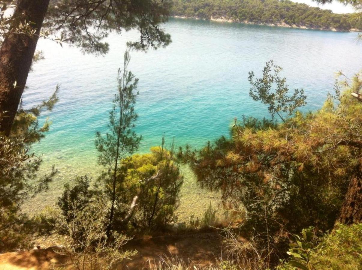 King Old Town Rab - Adults Only Apartment *